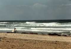 surfer4