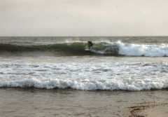 surfer5