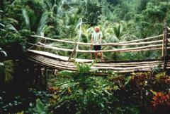 Jamaica