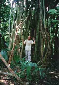 tarzan's paradise
