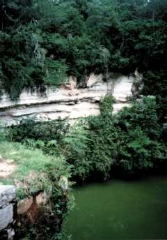 cenote closeup