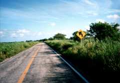 one good road is enough